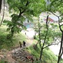 전국자연휴양림