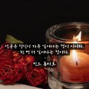 빈스피쉬 이미지