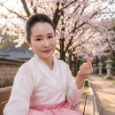 청아 - 홍천군 | 청아