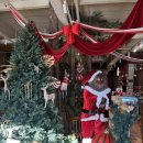 킴스마켓 24 이미지