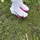 2022-주185 | 리얼 저질체력의 5km 마라톤 완주 후기(feat.정신병vs운동)