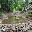 쇼글하우스 이미지