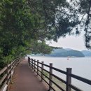 미수휴먼시아 | 🌊 통영 광바위 수변산책길, 바다 따라 천천히 걷는 길