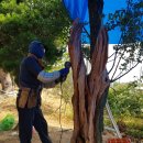 사리농장 이미지