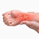 21세기 충주제통의원 이미지