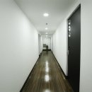 스테이안 이미지