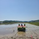 고향풍년 이미지