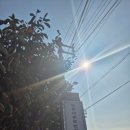 행복이머무는집 | 고령 다산 어탕맛집 ‘행복이 머무는집’ 방문후기