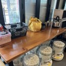 테하스랜드 글램핑장 | [논산🏕️글램핑]테하스 글램핑 후기