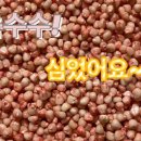 김원섭농장 이미지