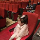 순천시문화예술회관 | 만원의 행복, 순천 뮤지컬 겨울왕국, 백설공주, 피노키오 보러가요!