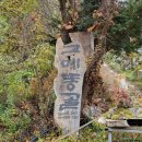 곰배령마루 | 인제 고메똥골 촌캉스 후기