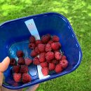 이현진농장 이미지