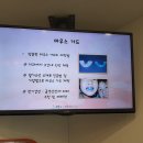 K&M DYNASTY 이미지