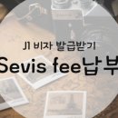 비자플래너