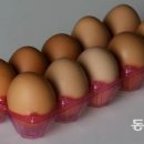대한계란유통 이미지