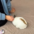 🐰토닥방🐰 제1회 정모 후기