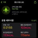 제주따이