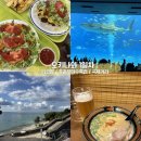타코인카페 - 성남시 수정구 위례광장로 310 | 여행 1일차 코스 현지인 타코 맛집, 츄라우미수족관, 국제거리 오코노미야끼, 이치란라멘 호텔...
