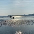 몽산포바다횟집 이미지