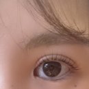 하이도아(Hi,doa) | 도안동 속눈썹펌 [하이도아] 내 눈매에 맞는 맞춤 상담으로 유지력 좋은 속눈썹펌 받은 후기