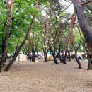 덕천강쉼터 이미지