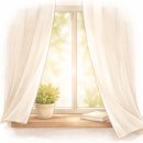 닭 씨리즈 | 자극을 내려놓으니, 몸이 먼저 쉬기 시작했어요. 장건강 시리즈 4 | 애호박 닭안심 들깨죽 후기