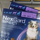 현리동물병원 이미지