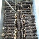 애기김밥 이미지