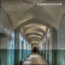 패밀리전문요양원 네이버블로그