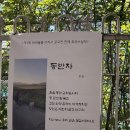 김해삼성초등학교 | 🐾 김해 활천동 오솔길에서 만난 : 반려동물 디카시 시화전 방문 후기