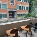 야탑 반려견 이미지