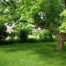 나무와나무 이미지