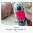 브라운 | 아기 체온계 브라운 후기, 6510 6525 차이는?