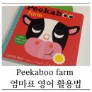 한영농장 | 피카부 농장 Peekaboo Farm 책 보드북 엄마표 영어 대사 총정리 (페이지별로)
