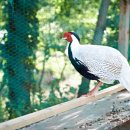 담양민박 이미지