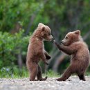 서울부부치과의원 이미지