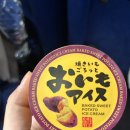 지민43 | JENESYS 2025 방일단 7-9일차 후기