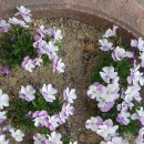 논산온누리약국 이미지