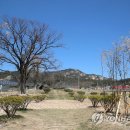 녹색공원 이미지