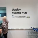 본플뤼 | 고양 이케아 푸드코트 플뤼스타/칼락스 비교 이바르보 구매후기