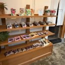 구름 | 태안호텔 :) 호텔 어라이브 태안 탼 한옥비치리조트 / 작은구름 후기