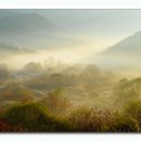 꿈의 정원 이미지