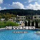 모모애견풀빌라 | 강아지 수영장 있는 가평 모모애견풀빌라 애견동반여행 여름 휴가 솔직한 후기
