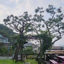 뜨라네펜션1 이미지