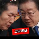 긴급속보 내란으로 몰리자 잔뜩 겁을 먹고 월~월~ 왈왈~ 이미지