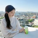 연세농장 티스토리