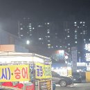 해뜰날 | 봄 도다리 먹으러 용봉동 횟집 맛집 해뜰날(본점) 내돈내산 후기