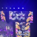 (주)루니미디어 | 콘서트, 잠실새내 편백재 샤브샤브, 잠실야구장, 마루니폼, 베테랑2, 간월도 스카이워크, 다마고치 썸