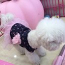 폴리파크 반송점 이미지